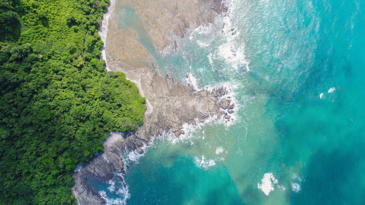 An aerial view of a beach and a body of water
