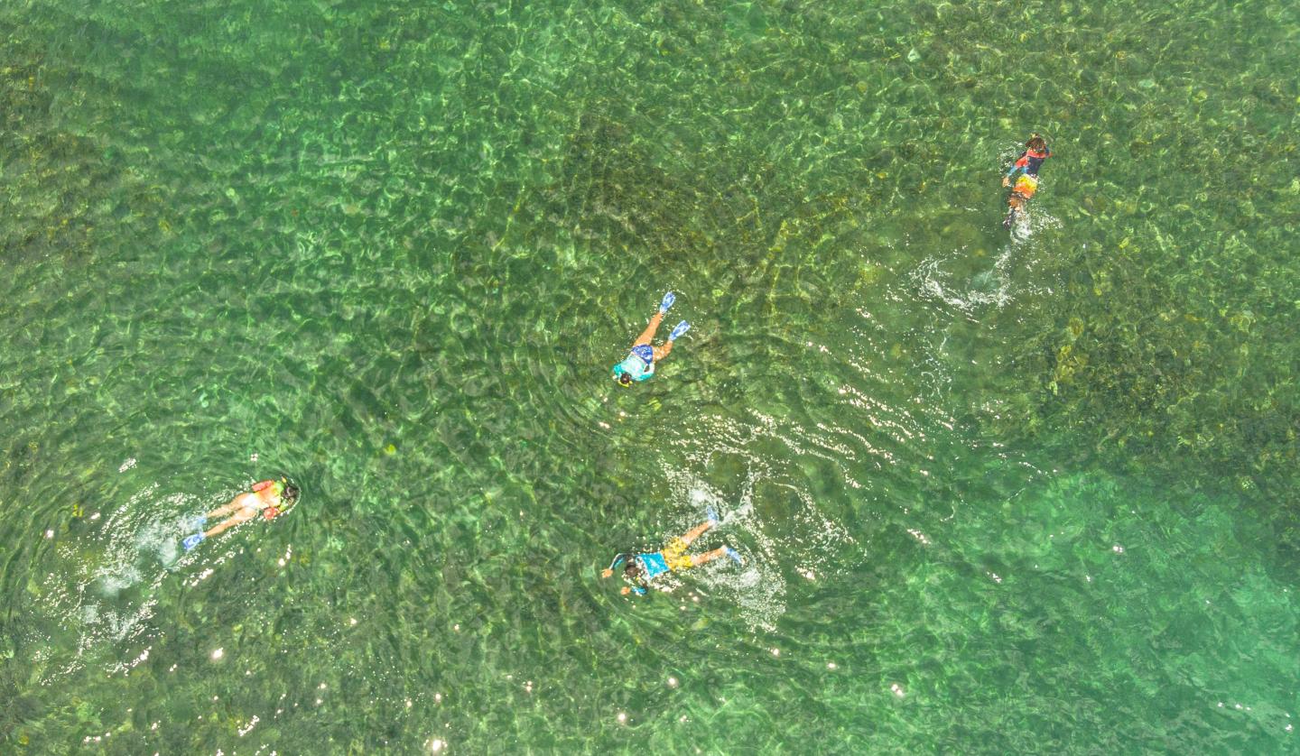 Snorkeling adventure caribbean